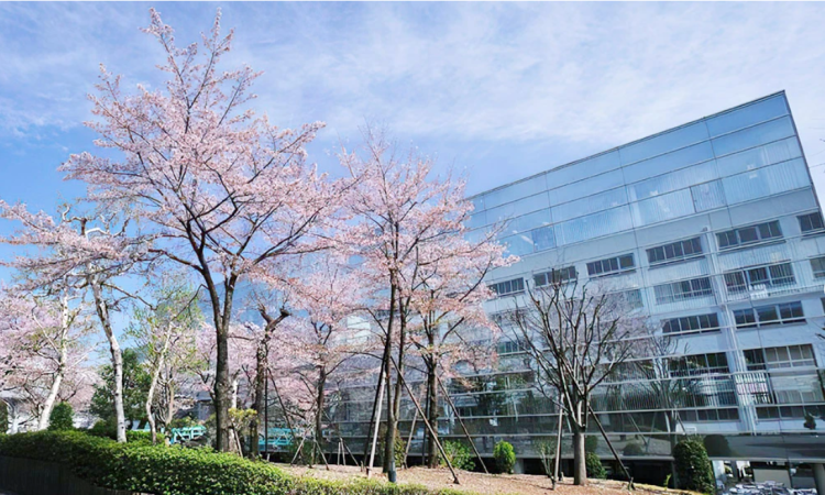 QQ20260402-104751.png