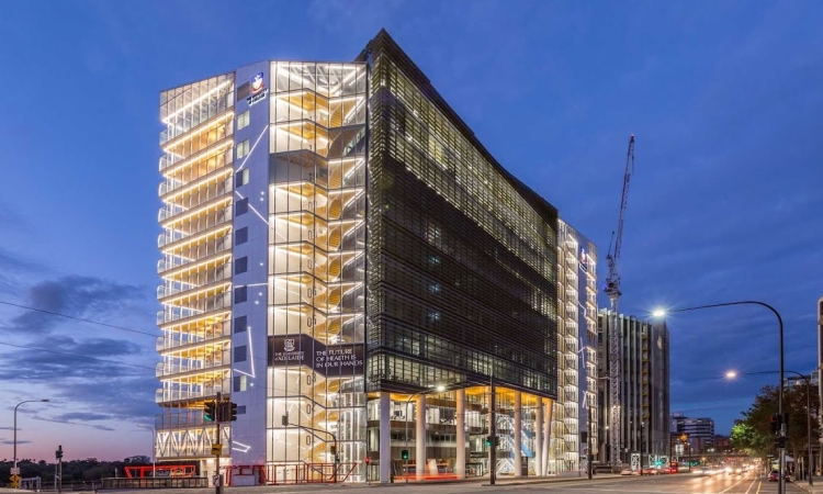 University-of-Adelaide-Faculty-of-Health-and-Medical-Sciences.jpg